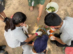 Compost Making activity at Oakridge International School Mohali to conserve mother earth